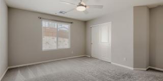 10790 Wild Parsley Avenue Gallery 33