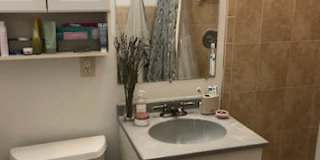 1929 North Sheffield Avenue Gallery 6