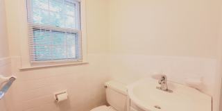 15 Elmwood Street Gallery 4