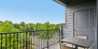 3503 Bellflower Lane Gallery 47