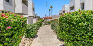 Cove on 44th Gallery 20