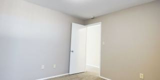 Twin Dolphins Gallery 7