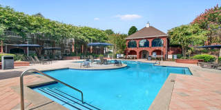 Arium Vinings Station Gallery 21