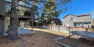 $0 DEPOSIT OPTION. 4 BEDROOM 3 BATHROOM HIGHLANDS RANCH HOUSE NEAR CHATFIELD STATE PARK Gallery 43