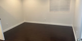 True Beauty! SOLAR Gallery 13