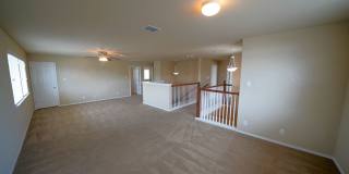 Spacious Home in Cibolo with 3 Car Garage! Realor Commission: $750 Gallery 28