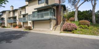 La Jolla Resort Style Living La Jolla Resort Style Living Gallery 1