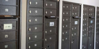 The Julington Gallery 10