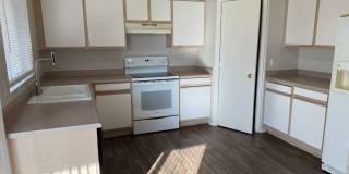 12071 W Dahlia  - 3 Bed, 2 Bath in El Mirage Gallery 8