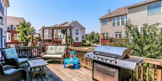 8250 RED CARNATION Court Gallery 24