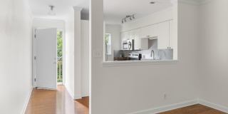 1513 E Franklin Street Gallery 13