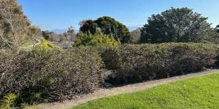 4025 Calle Sonora Este Gallery 1