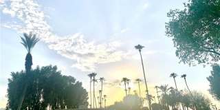 42425 Adams Street Gallery 1