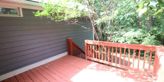 1933 Deep Forest Trl Gallery 26