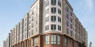 The Monarch Gallery 1