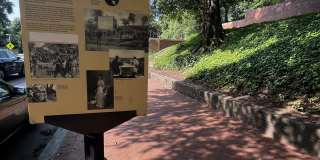 Diplomat Gallery 19