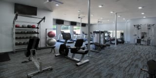 Tanglewood Gallery 10