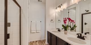 Modern Comfort in Castle Rock: 2-Bed, 2-Bath Home!! Modern Comfort in Castle Rock: 2-Bed, 2-Bath Home!! Gallery 21