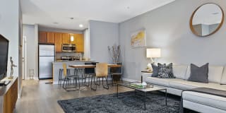 Axis Admiral's Hill Gallery 1