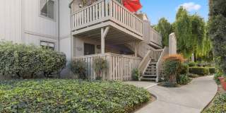 1227 Coyote Creek Ct Gallery 14