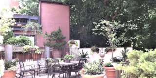 8 REX Avenue Gallery 25