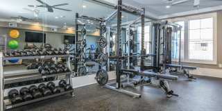 Ariza Temple Gallery 8