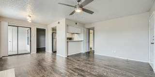 Rise Spring Pointe Gallery 141