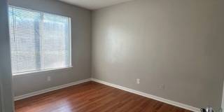 9505D University Terrace Gallery 14