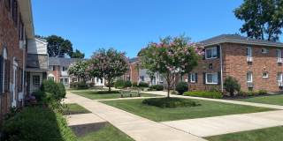 348 Dawson Lane Gallery 2