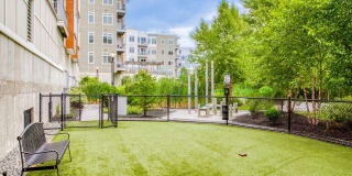 Vox on Two Gallery 18