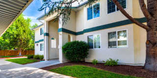 The Pines Apartments Gallery 3