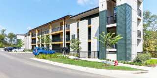 Bells Bluff Gallery 22