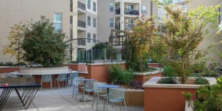Avalon Walnut Creek Gallery 33