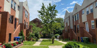 Baltimore - 3 Bedrooms and 2.5 baths Available! Gallery 12