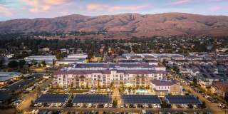 Senior Housing- Palmia, Age 55+ Luxury Apartments Gallery 41