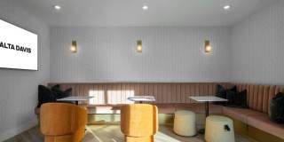 Alta Davis Gallery 23