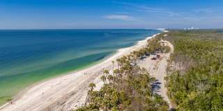 Lexington Palms at the Forum Gallery 44