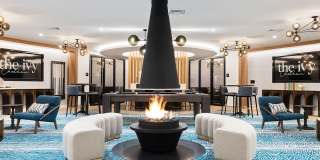 The Ivy Gallery 18