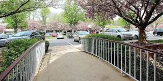 7531 Spring Lake Drive Gallery 26