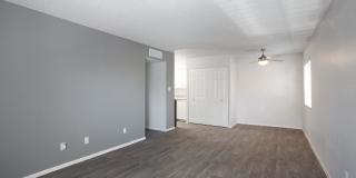 Icon on Pima Gallery 4