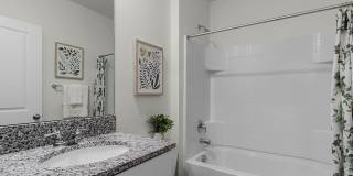 The Palms Glenside Gallery 10