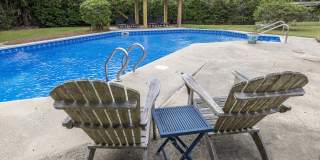 222 Forest Trail Gallery 2