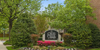 Cross Creek Cross Creek Gallery 1