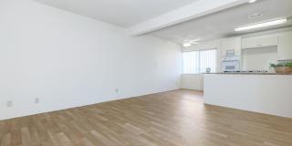 Sea Breeze Beach Apartments Sea Breeze Beach Apartments Gallery 21