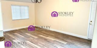 3378 Moretti Drive Gallery 5