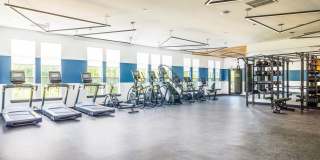 The Hillmont Gallery 14