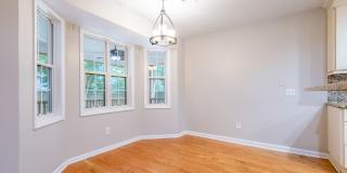 Gorgeous one story 4 Bedroom home in Mount Pleasant Gallery 15