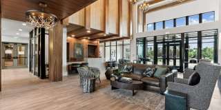 The Elmwood Gallery 20