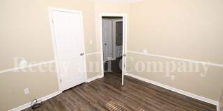 9532 Chi Chi Cv Gallery 16