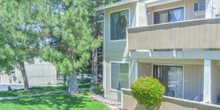 Great 1 bedroom condo just off Clear Acre Lane Great 1 bedroom condo just off Clear Acre Lane Gallery 1